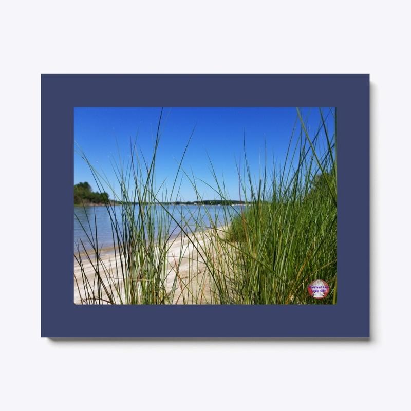 Beach Grass